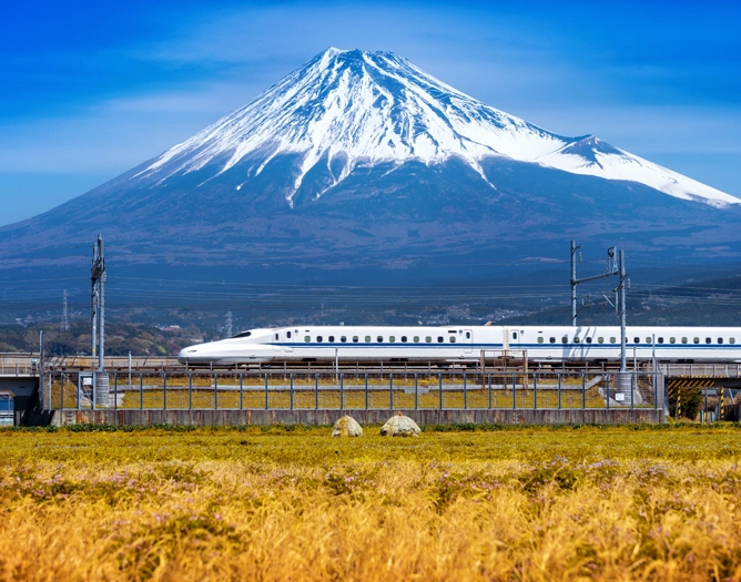 Déplacements fluides et artisanat local